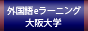 高度外国語教育全国配信システムの構築　初級外国語独習用eラーニング教材